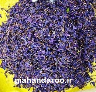 تصویر 2 از فروش ویژه گل گاوزبان ارگانیک صادراتی از مزارع اردبیل